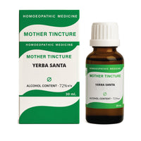 YERBA SANTA MOTHER TINCTURE